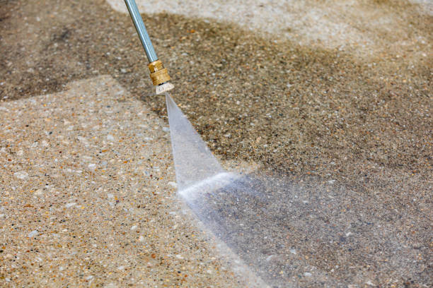 Best Driveway Pressure Washing  in Smyrna, DE